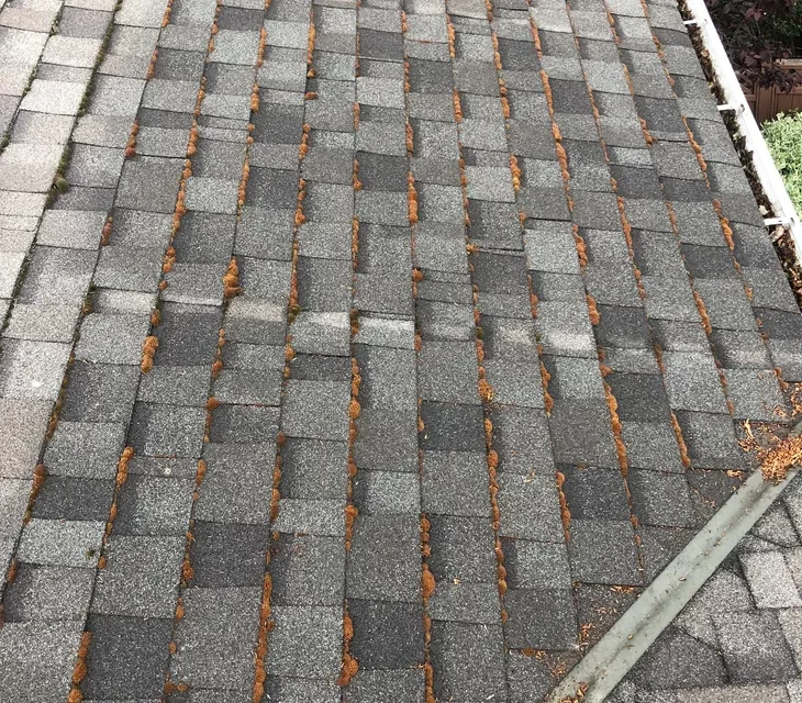 Asphalt Roof Deterioration and Maintence